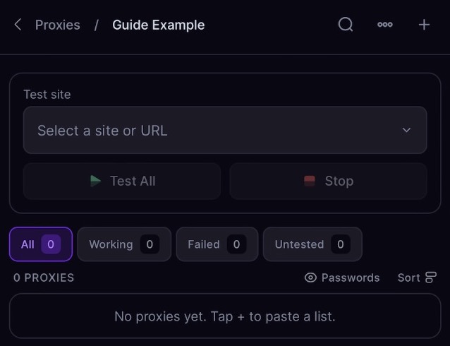 Mobile proxy group controls. This empty example hides real proxy details.